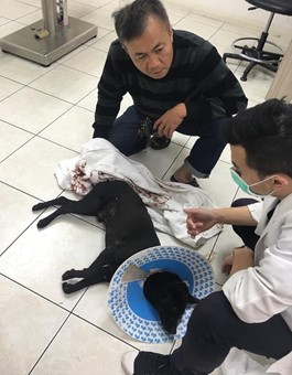 台中希望愛生命關懷協會總幹事詹宗霖救援浪浪