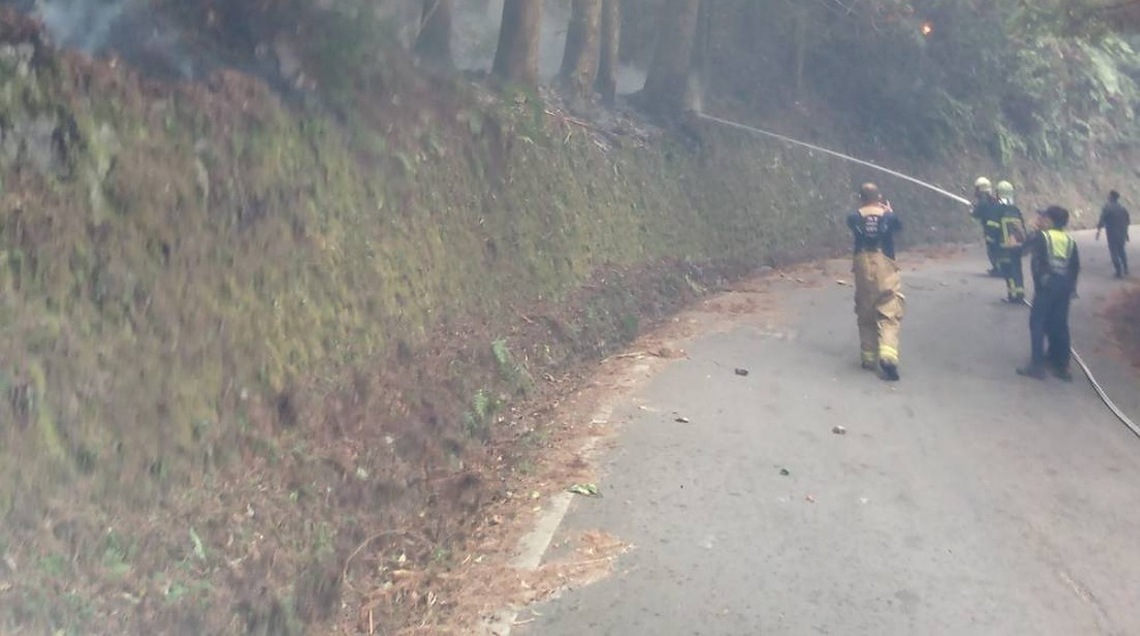 大鹿林道22K-24.5K      2/17起實施交通管制