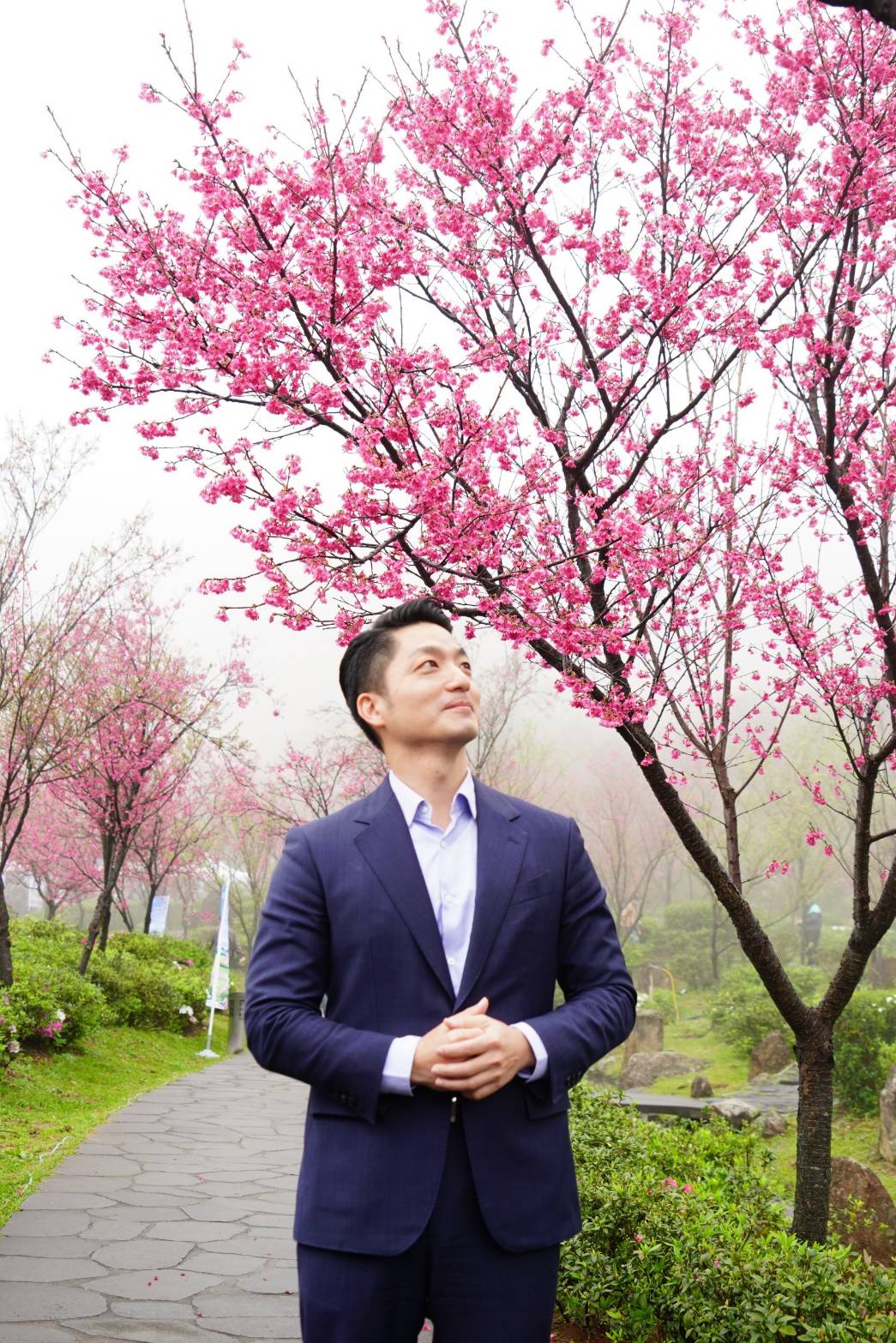 蔣萬安宣布陽明山花季開幕 櫻花綻放迎接40天花海盛宴