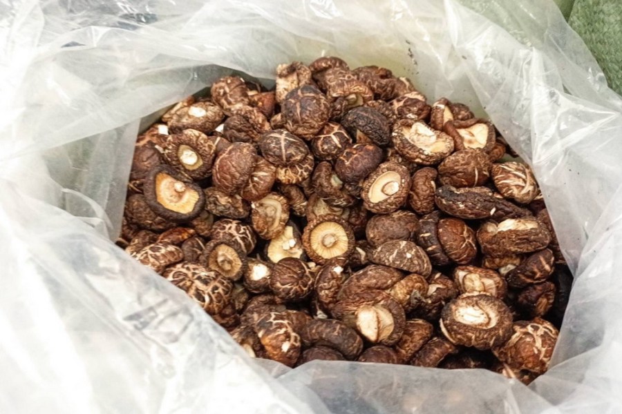 走私香菇2.4噸牟利 台陸被告金檢起訴6人 288 走私香菇2.4噸牟利 台陸被告金檢起訴6人 287