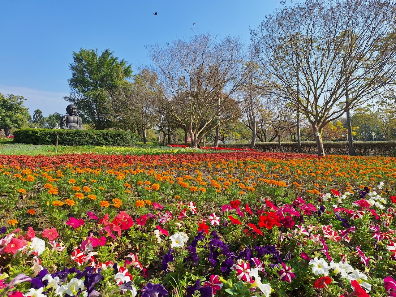 ▲2024春節走春強檔首選「花在彰化」及「月影燈季」，彰化縣長王惠美歡迎您新春期間前來彰化走春、賞花、賞燈、嘗美食、體驗彰化百寶風光。（彰化縣政府提供）