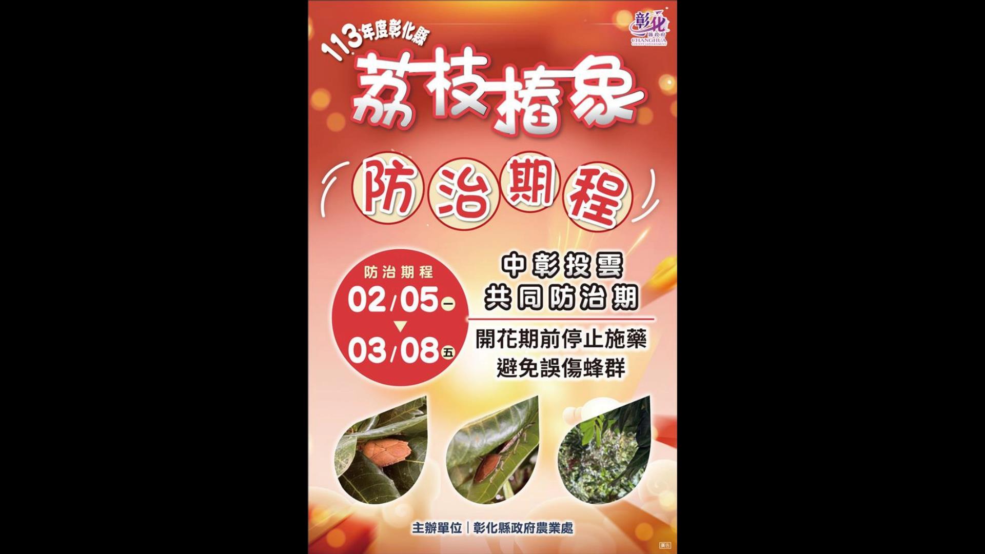 ▲正值荔枝椿象越冬成蟲甦醒時間,為有效防治、控管荔枝椿象族群,彰化縣政府建議農友配合於共同防治時期進行區域整合防治。(記者張溎壕攝)
