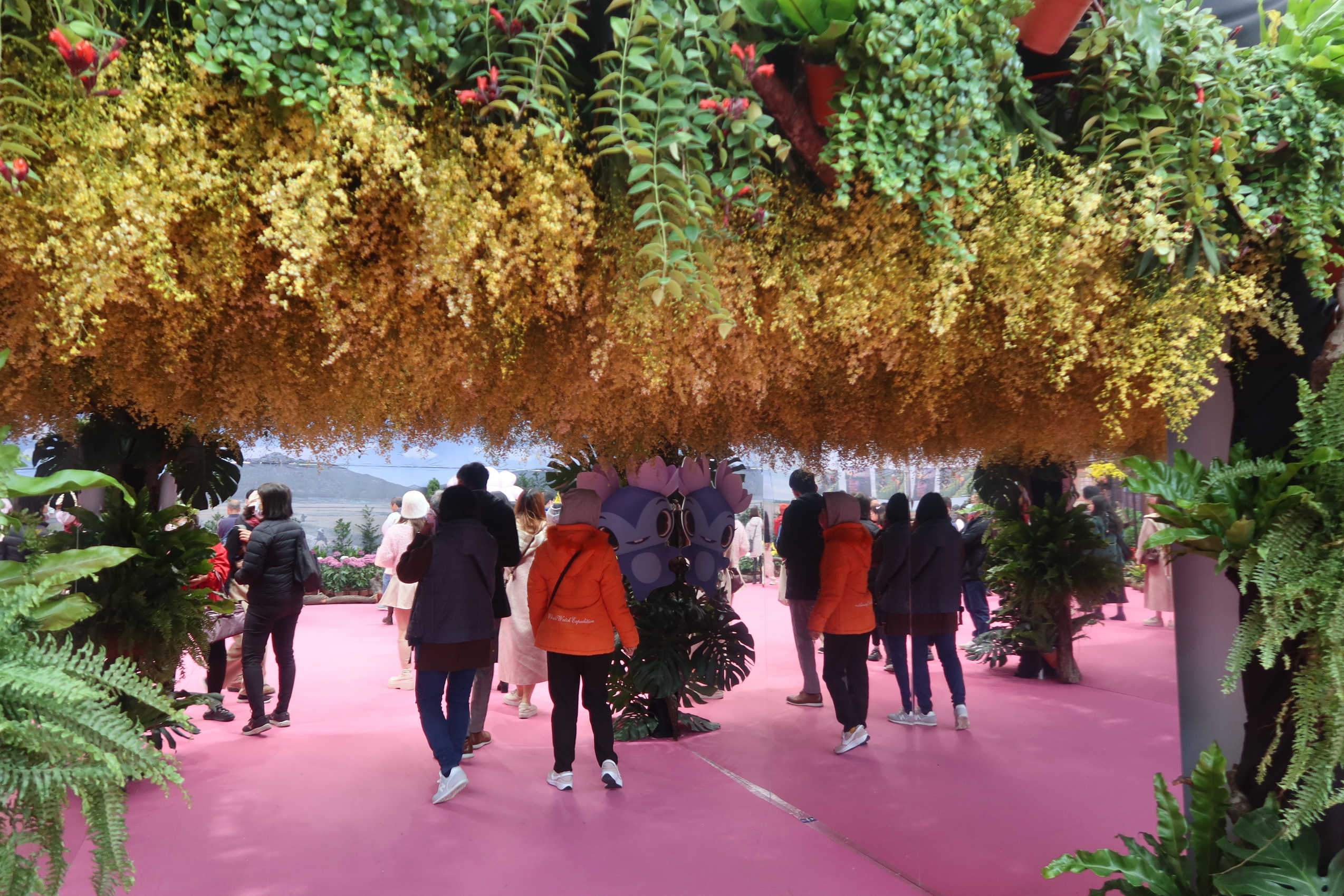 ▲2024花在彰化熱鬧登場，園區內有非常多能讓您打卡、療癒的場域，戶外還有分為4大主題區塊讓您拍照當網美，歡迎大家春遊首選來彰化。（記者張溎壕攝）