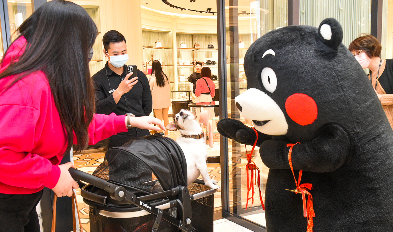 ▲日本人氣吉祥物「KUMAMON」活潑逗趣，連路過碰到毛小也不放過。（圖/記者黃淑貞攝）
