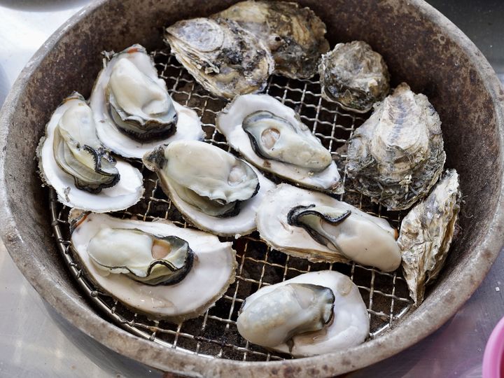 到嘉義好美里拍網美照 搭漁筏跟船長出海探險!