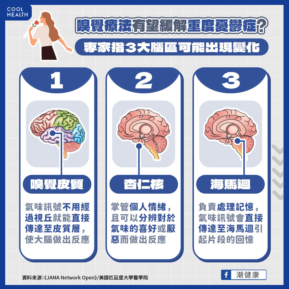 嗅覺療法有望緩解重度憂鬱症? 3大腦區改變可能是關鍵因子 嗅覺療法有望緩解重度憂鬱症? 3大腦區改變可能是關鍵因子