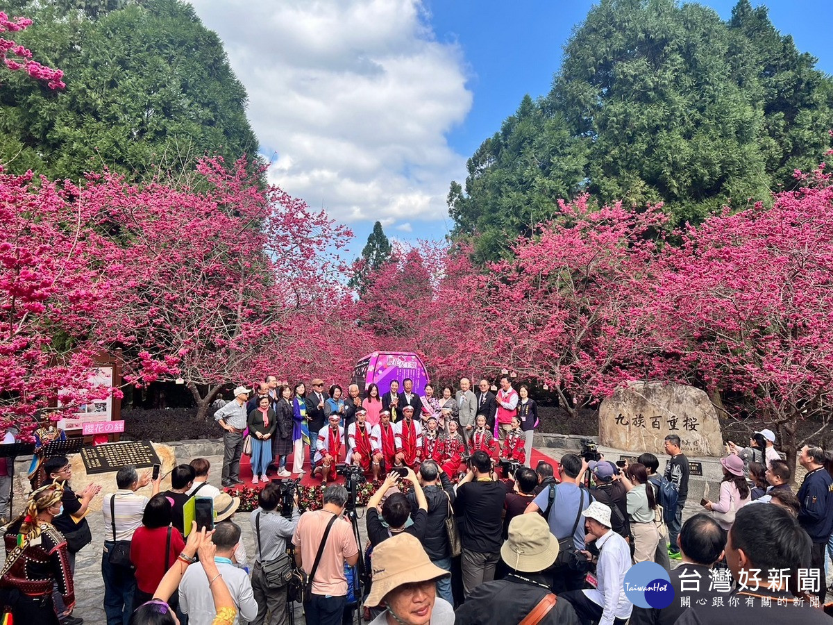 台日櫻花文化交流的儀式在九族文化村觀山樓舉行,見證台日櫻花交流「櫻花の絆」的真情與歷史時刻,並祈願台日友誼長存。
