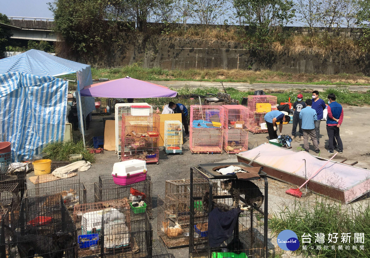 雲林縣林內鄉某私人狗場不當飼養134隻犬貓，雲林縣動植物防疫所將依動保法相關規定裁處負責人／陳致愷翻攝
