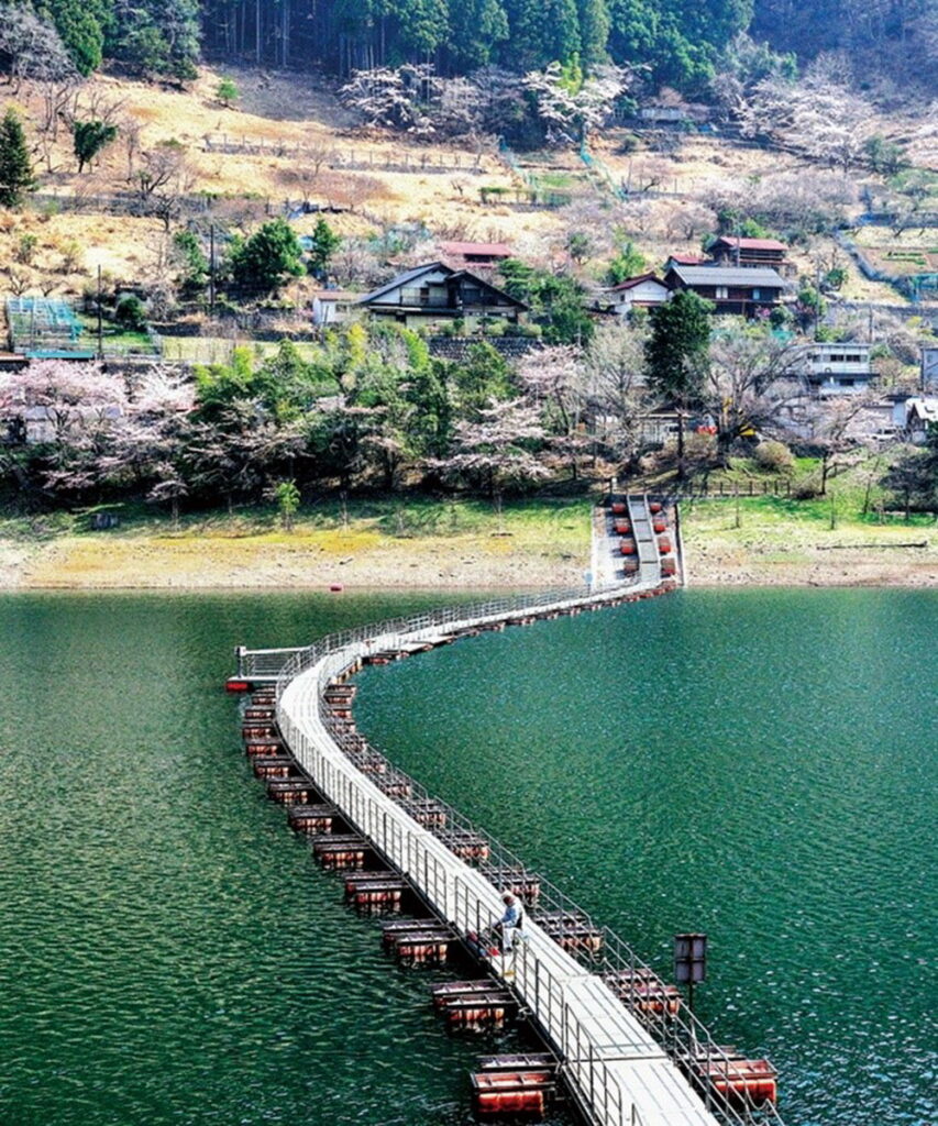走在奧多摩湖湖面上的歩行者専用浮橋,享受大自然環抱。(東京觀光財團提供)