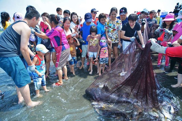 走跳高雄海線 絕美打卡景點一網「打」盡