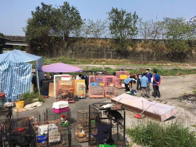 大規模不當飼養犬貓事件曝光 雲林縣政府突襲稽查嚴格執法
