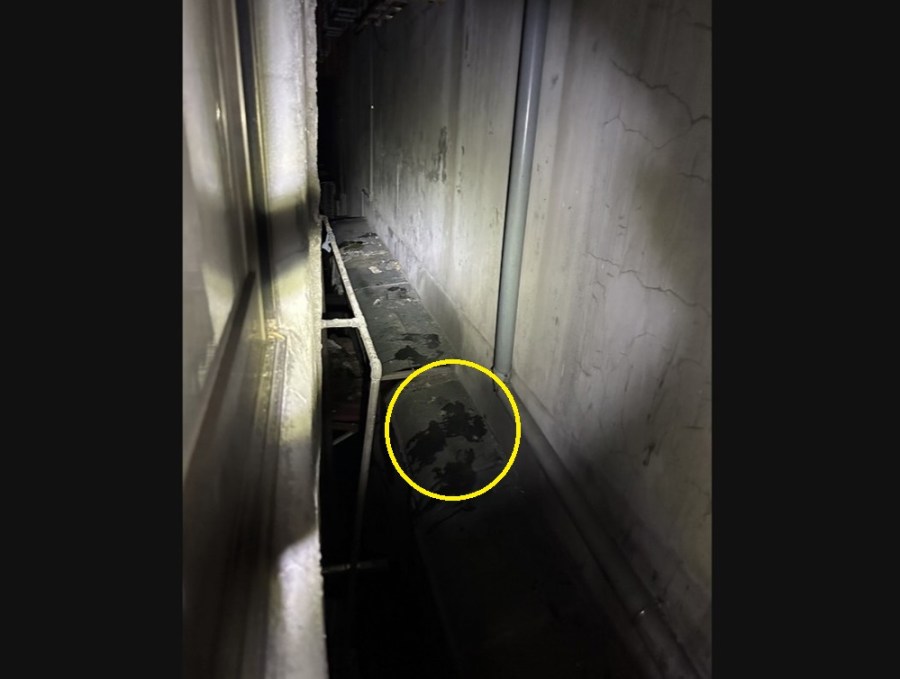 跳窗逃跑宛如城市跑酷 六條通緝男躲落葉堆狼狽落網 217 cnews204240220a05