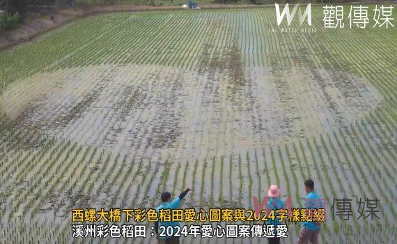 (有影片)/西螺大橋下彩色稻田愛心圖案與2024字樣點綴 享美景打卡留念