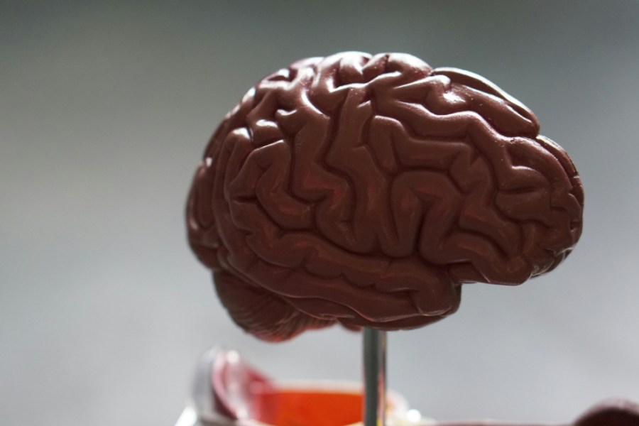 靠意念控制滑鼠!馬斯克曝Neuralink首例人腦移植患者近況 186 Unsplash示意圖