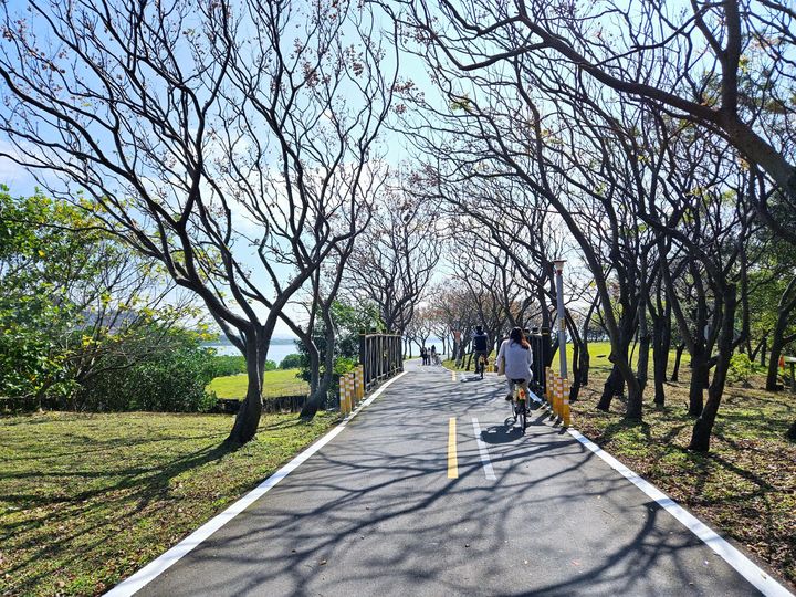 面河第一排的美景!八里左岸「海世界觀景台」享受悠閒時光