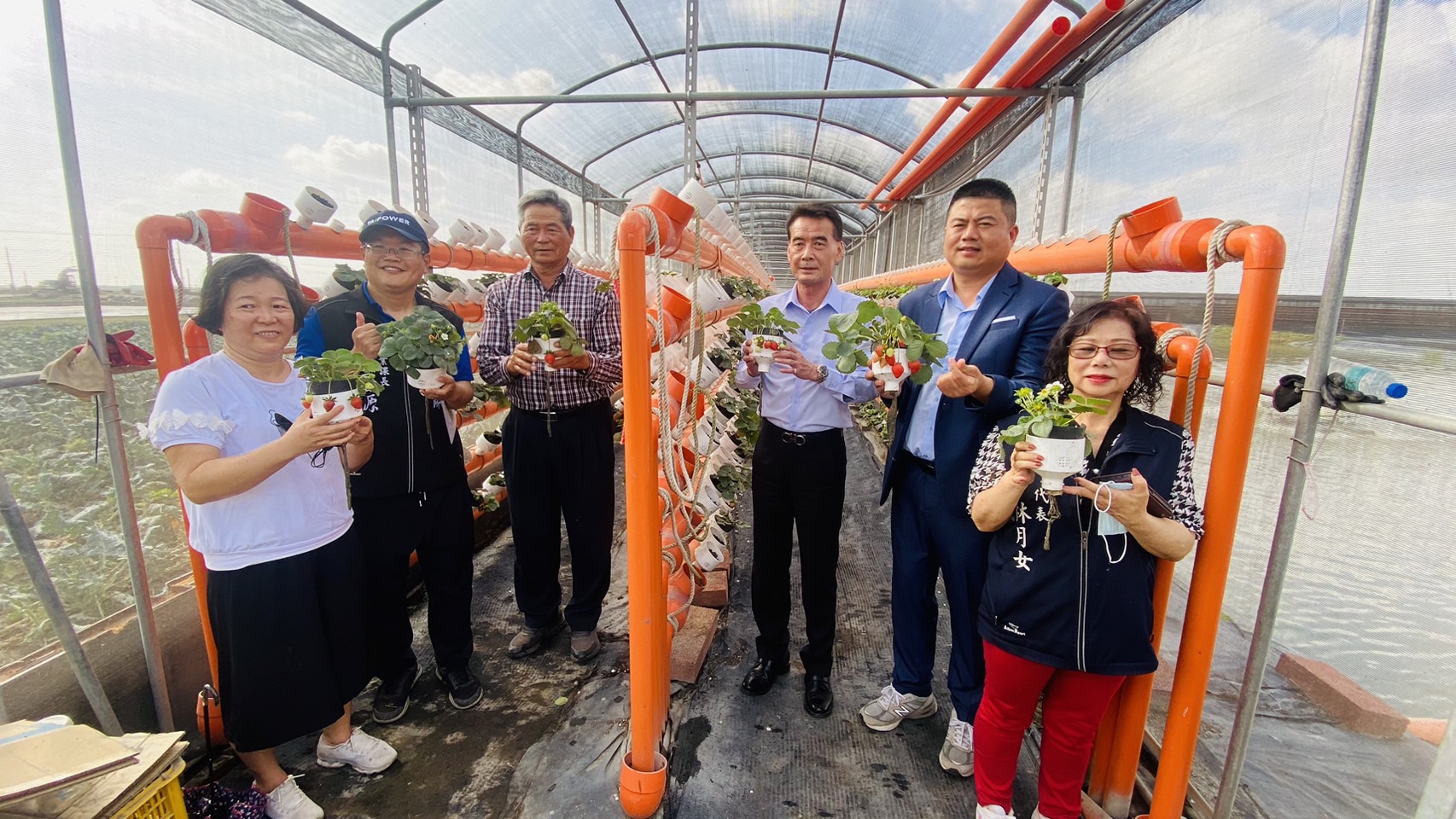 ▲褒忠鄉生菜農業經營專區改良式魚菜共生的草莓牆，獨特的設計及特殊的生長環境讓草莓更健康天然。(記者陳雅琪攝)