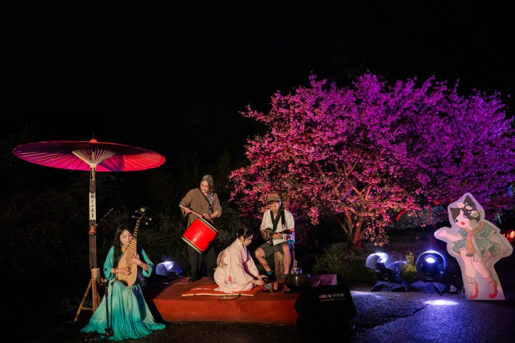 櫻花季開幕演出「綻櫻茶韻」琵琶連珮如/三弦曾健裕/打擊盧欣民/茶道何詩韻