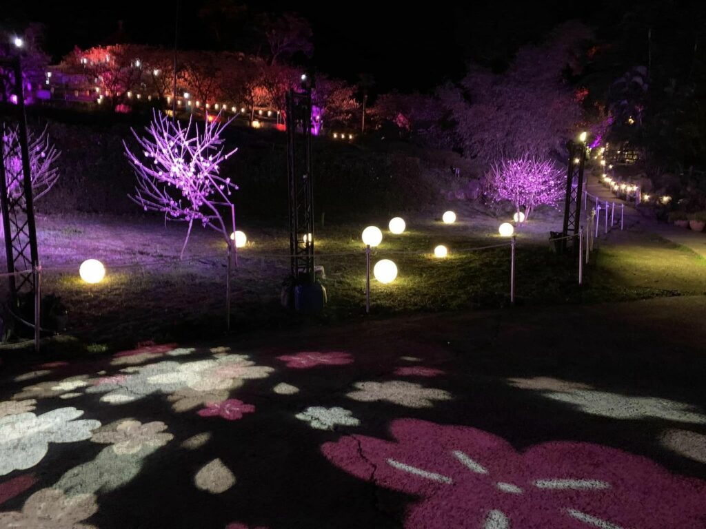花見櫻花季流動蒔櫻光影
