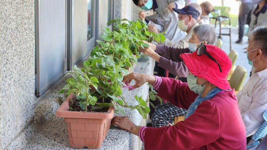 長者參與撿菜活動(圖/陳惠玲攝影)