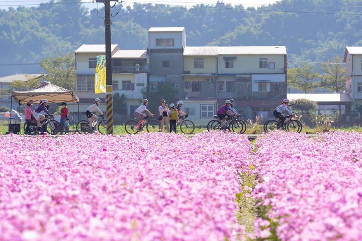 春遊東高雄 山城花語蝶飛揚 溫泉美食幸福遊