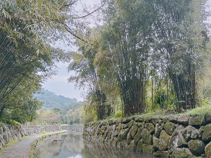 圖/台北市政府提供
