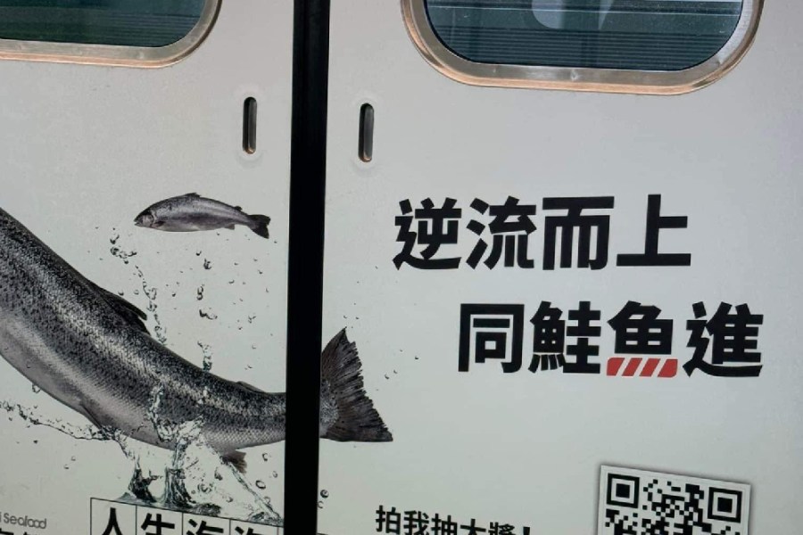 中捷彩繪「同鮭魚進」 林祈烽批:把重大傷亡當玩笑 206 中捷彩繪「同鮭魚進」 林祈烽批:把重大傷亡當玩笑 205