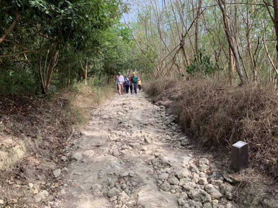 半屏山瞭望台道路改善完工 維護環境提升民眾登山安全