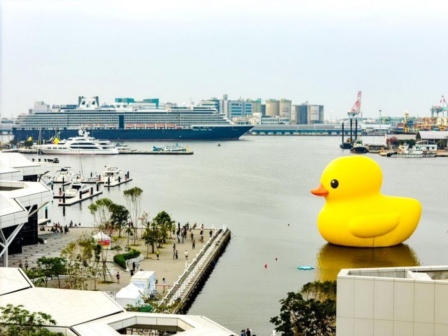 高雄黃色小鴨破870萬人朝聖! 高端遊輪、海外旅遊團及自由行旅客競相造訪