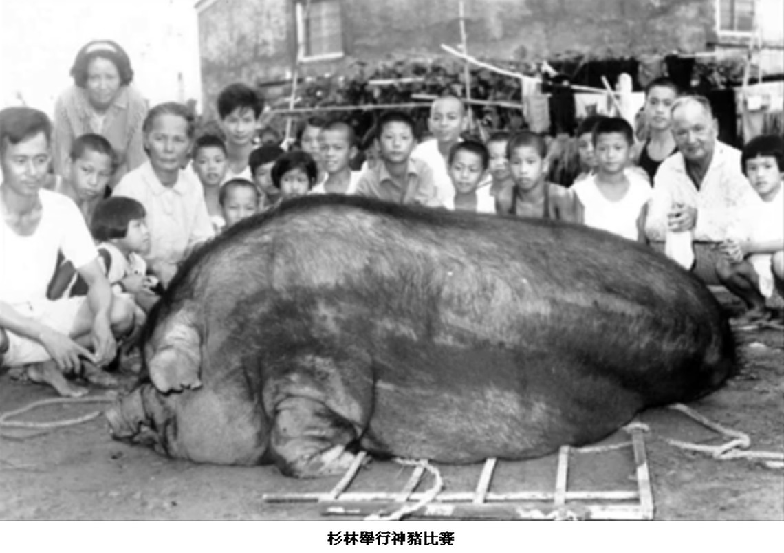 穿越時空的快門 張氏父子留追憶