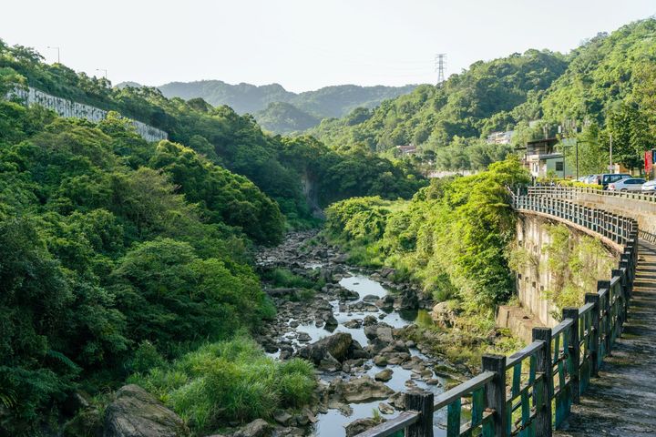 石碇早春山櫻綻放 訪秘境「烏塗」生態之美、品特色美食