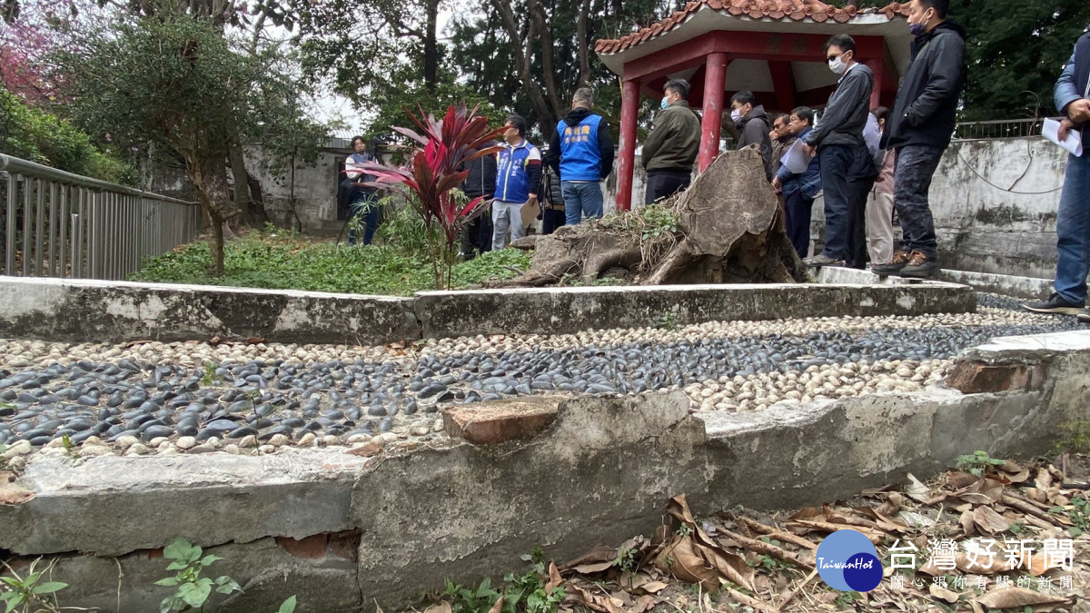 潭子丘逢甲公園遺留枯木樹頭,地面崎嶇不平,安全堪慮。