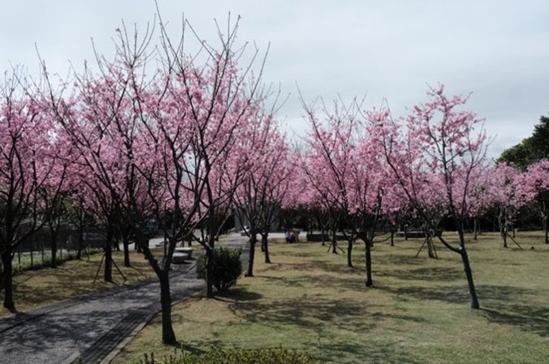 圖/臺北市政府工務局