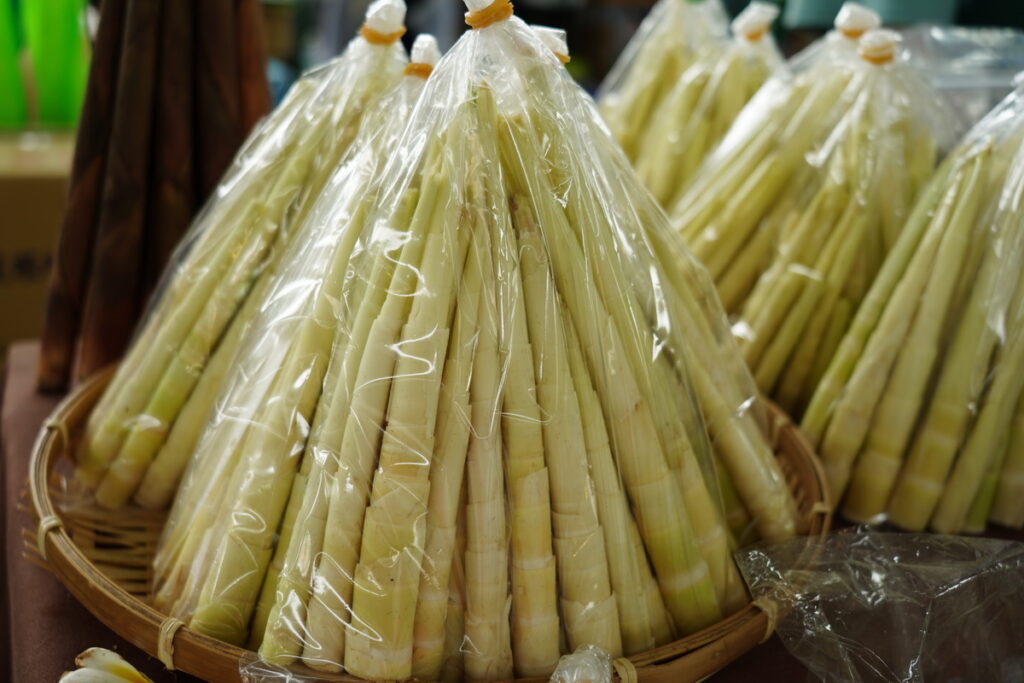 花蓮箭筍外觀呈細長狀,因形似箭而得其名