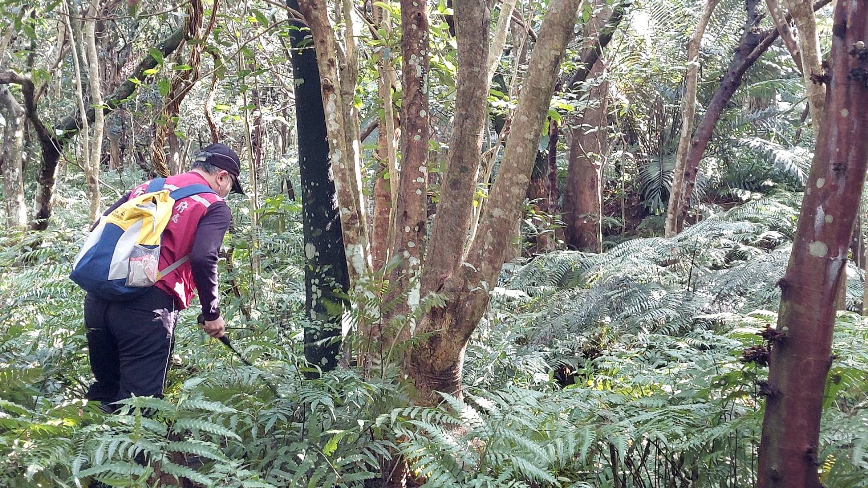 山區獸鋏、山豬吊等陷阱猖獗　新北動保處發起熱點掃蕩行動