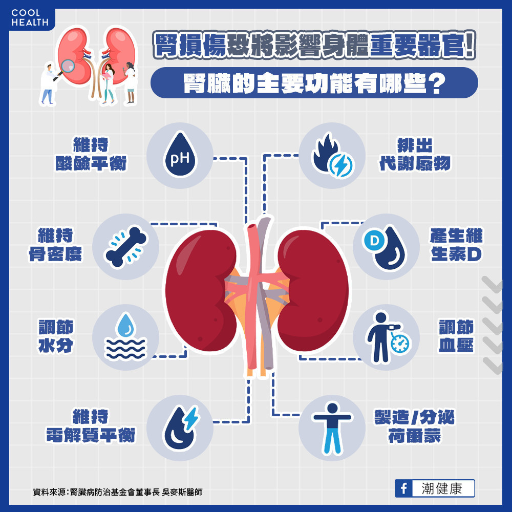 功能不只代謝廢物、水分! 為何腎臟容易「工作量超載」? 功能不只代謝廢物、水分! 為何腎臟容易「工作量超載」?