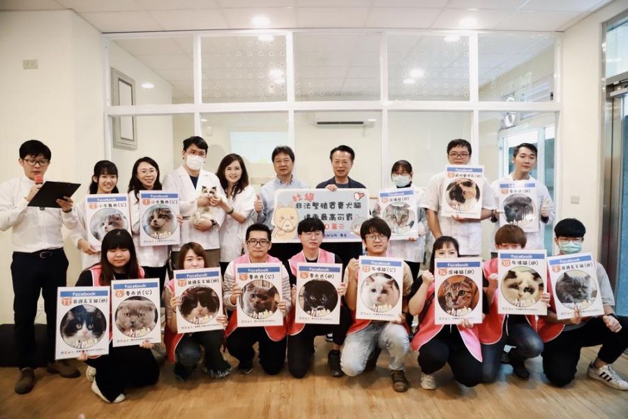 嘉縣中籤率僅萬分之7.6! 喵星人認養抽出15位幸運貓奴