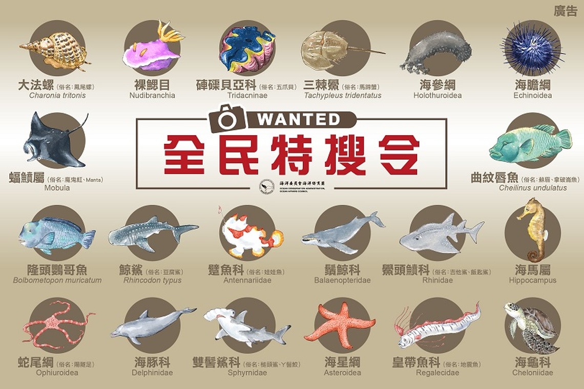 「全民特搜令」開跑！上傳海洋生物照片送好禮!