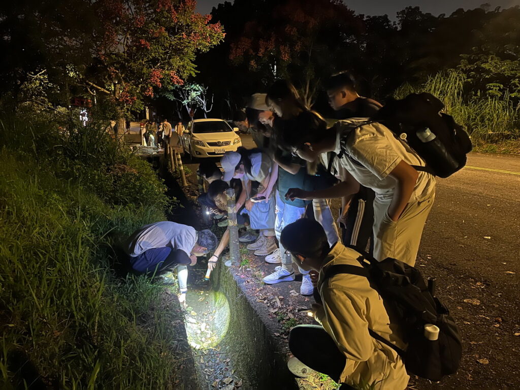 夜觀生態觀察活動