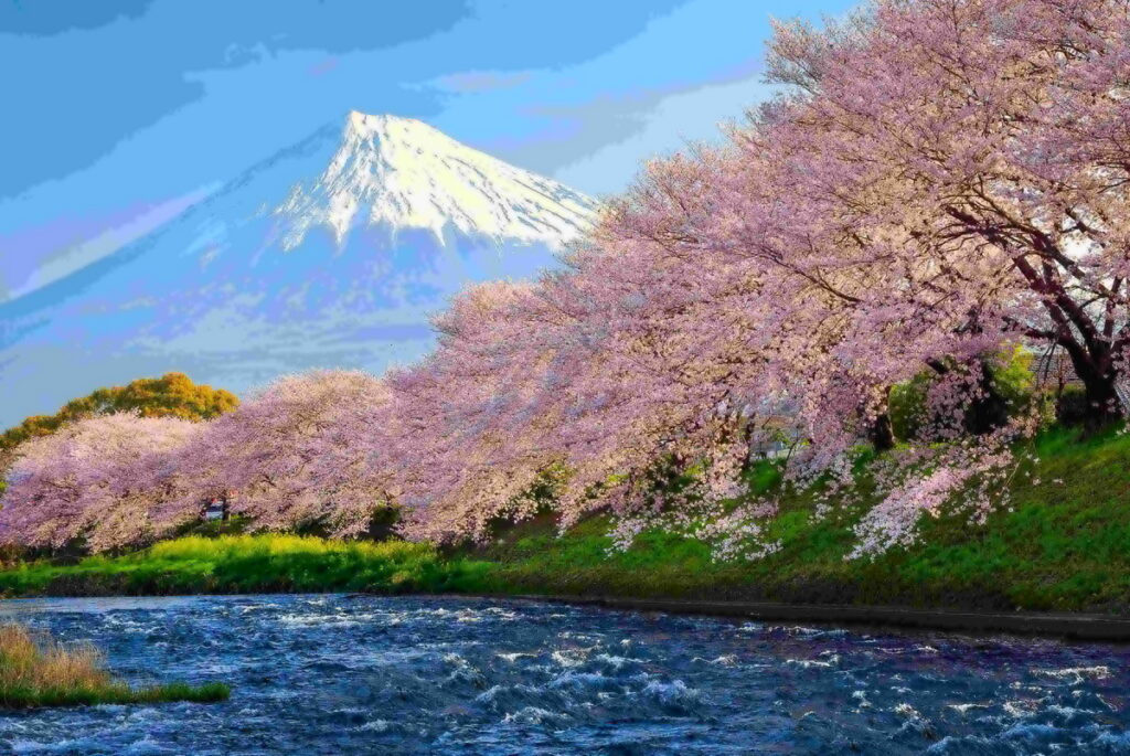易飛網東京賞櫻團體行程,第二人最高折4,000元,徜徉櫻花海中賞巨無霸富士山美景。