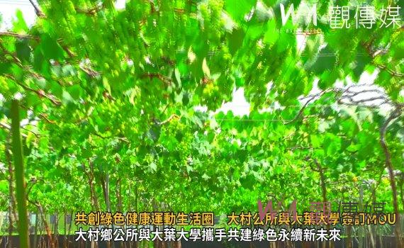 (有影片)/共創綠色健康運動生活圈 大村鄉公所與大葉大學簽訂MOU