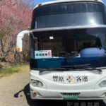 武陵櫻花季交通聯票搶手 374班次賞櫻專車有效疏運