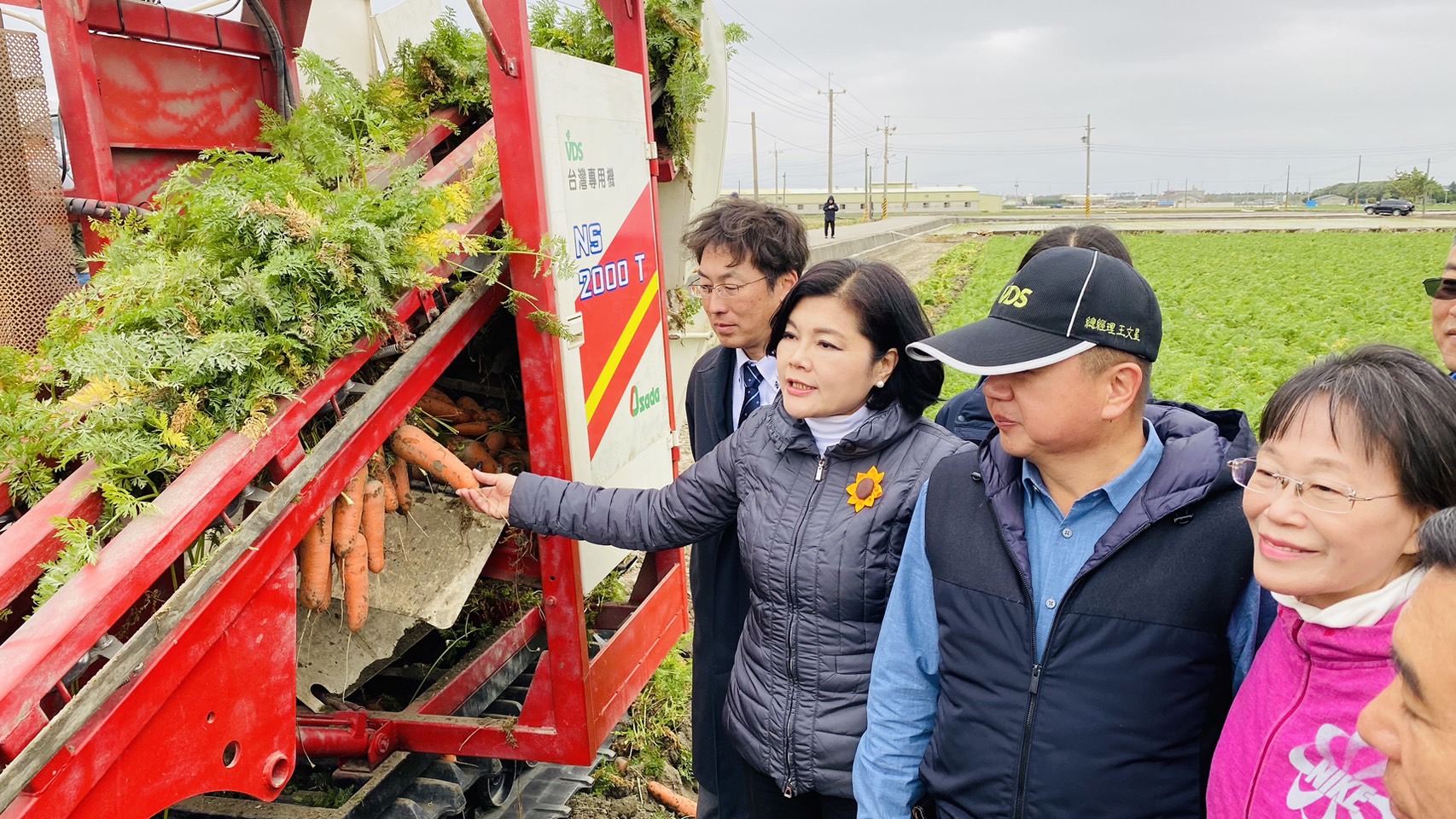 ▲採收機所採收的胡蘿蔔完整無損,讓農民安心。(記者陳雅琪攝)