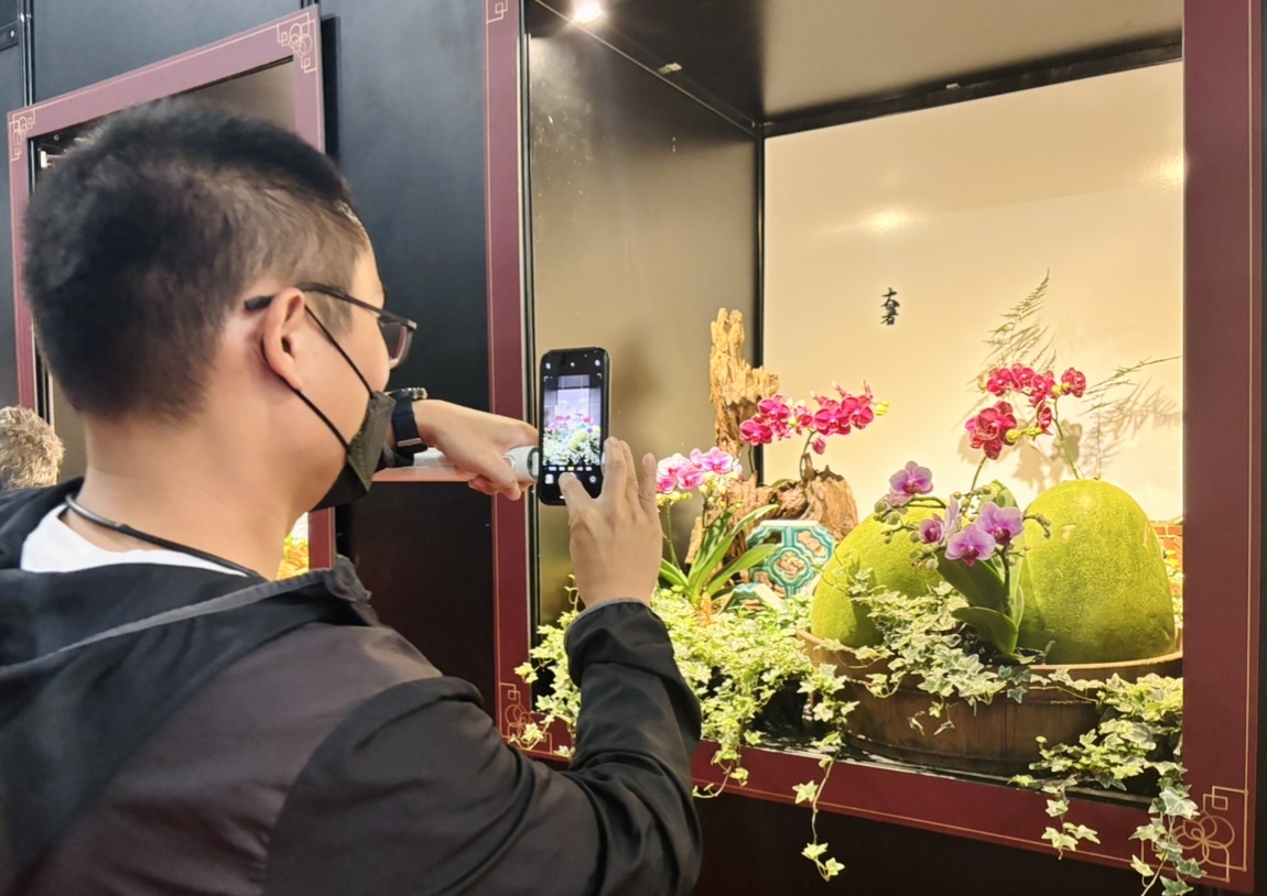 夢幻「光藝畫廊」映照12節氣！臺南蘭花雙聯展　限定文創小物搶翻