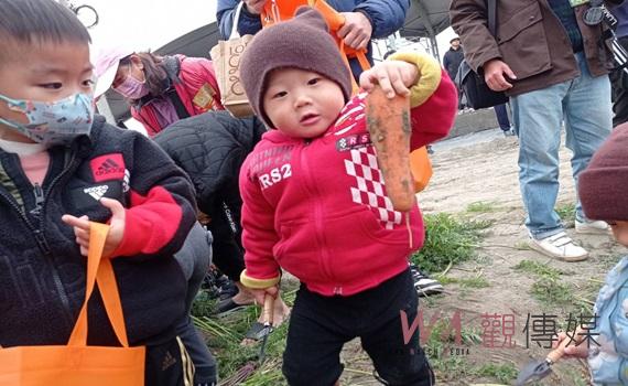 （有影片）／國際胡蘿蔔日近2萬人拔蘿蔔　推廣雲林良品邁進國際市場