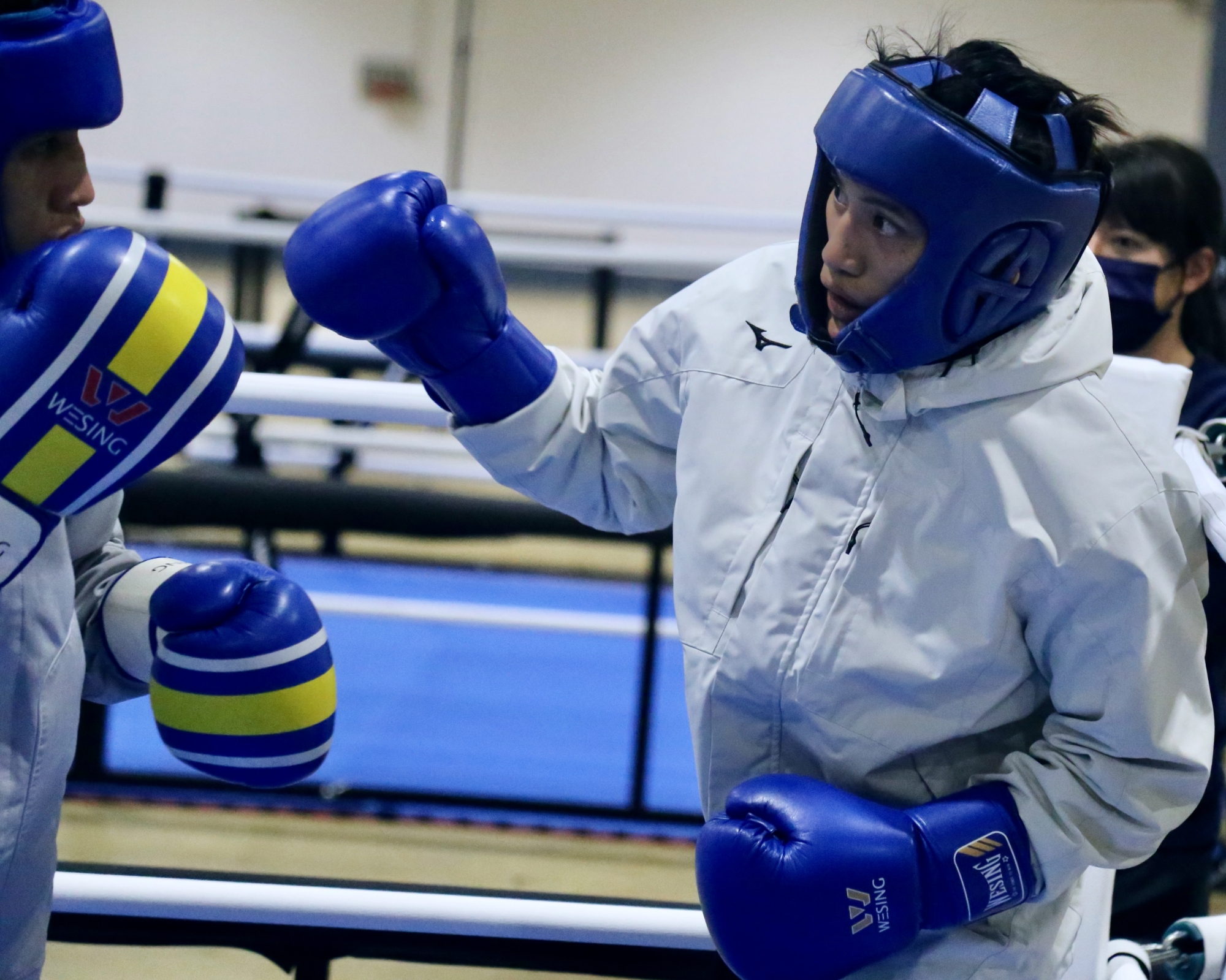 拳擊》拳擊奧運資格賽開打杜柏緯、郭怡萱打頭陣