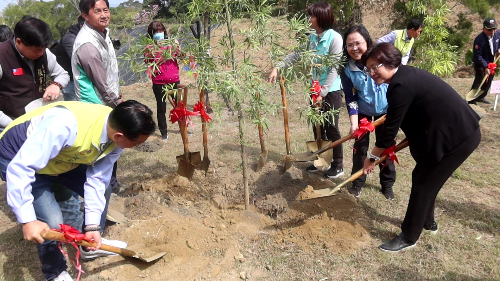 ▲彰化縣113年植樹活動-一起集點樹活動，現場有大小童軍、社區民眾，一起來參與蛻變魔法森林，現場發送4種台灣原生種樹苗給鄉親。（記者張溎壕攝）