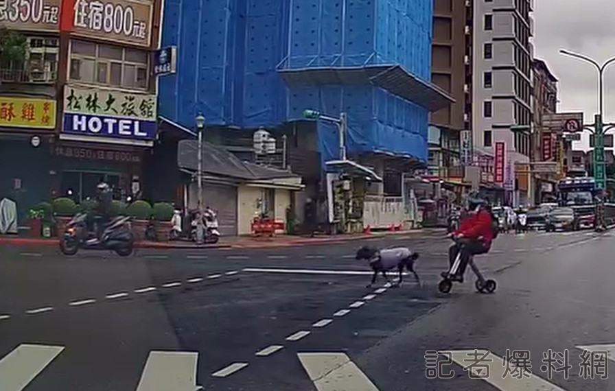台北,萬華,黑狗,拖車,阿嬤