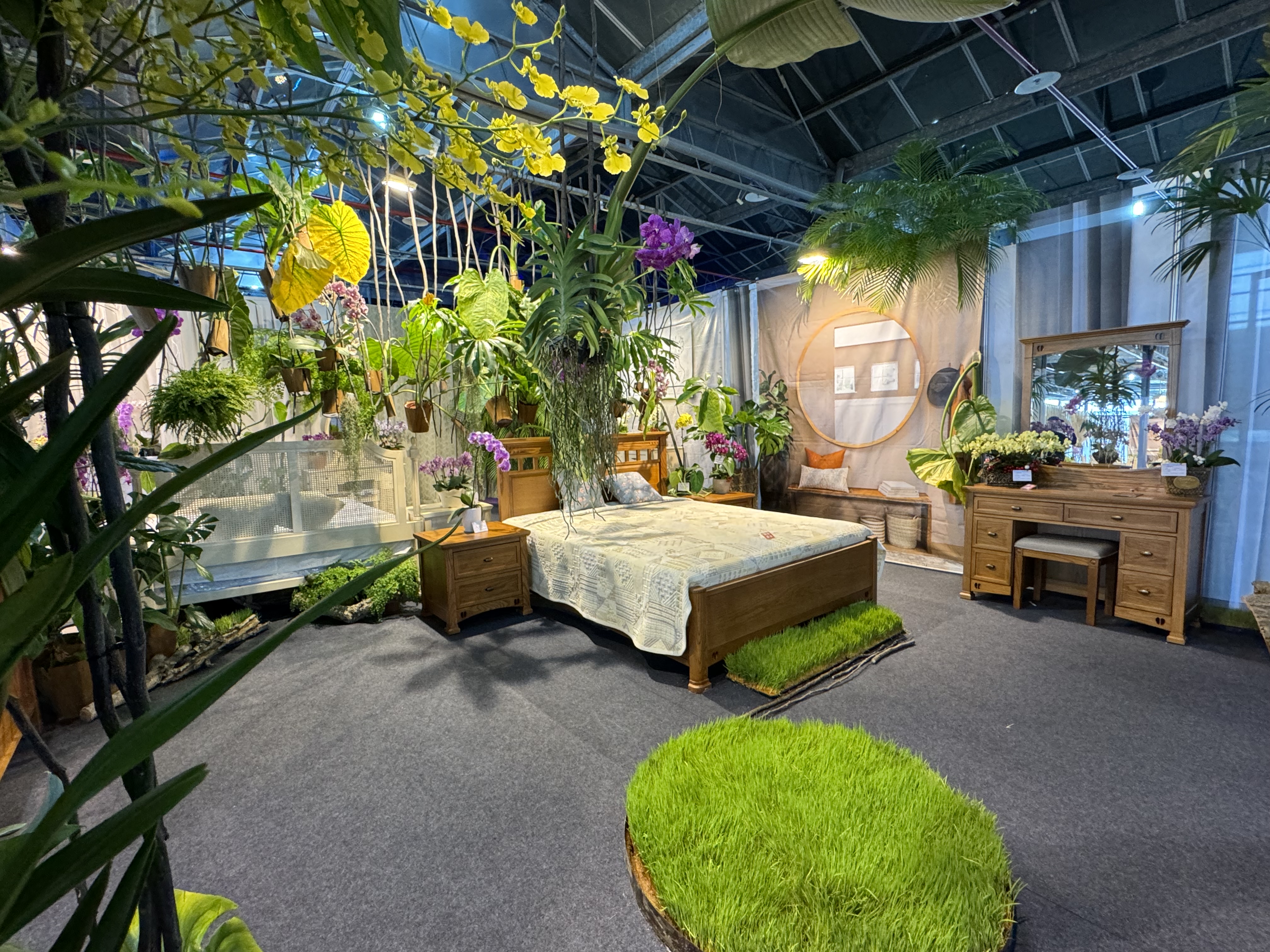 引領植感日常打造療癒空間 台灣國際蘭展邀您用蘭花妝點居家生活