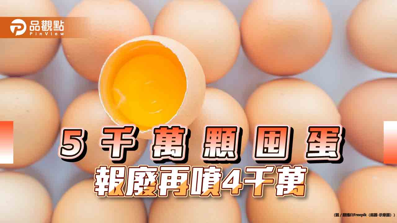 離譜!5千萬顆進口蛋待銷毀 傳蛋價崩盤 網問「到底降價在哪?」