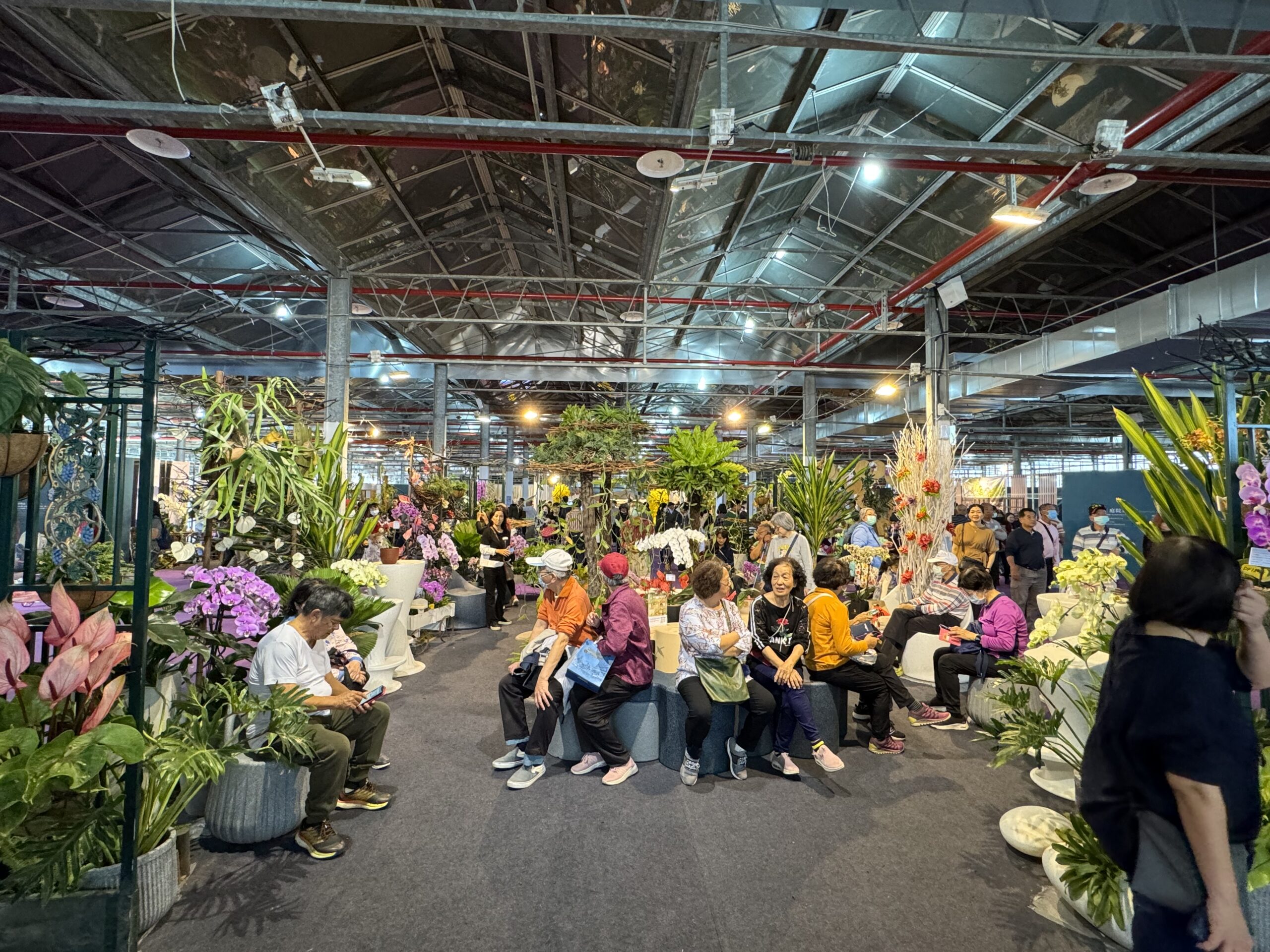 引領植感日常打造療癒空間   2024臺灣國際蘭展邀您用蘭花妝點居家生活